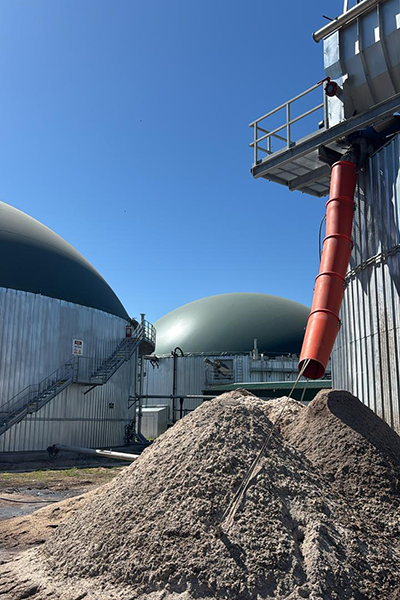 Sedimente aus Sedimentabscheider