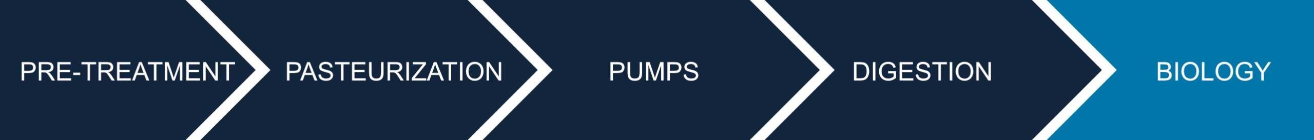 Prozessdiagramm_Biologie