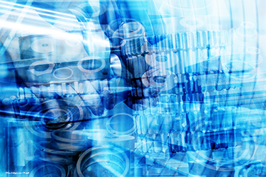 Placeholder Projects